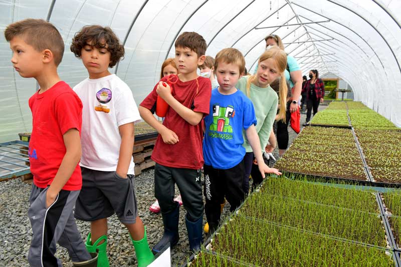 School Visit - Stable Harvest Farm