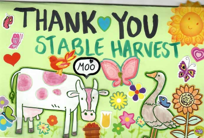 thank-you-card-8