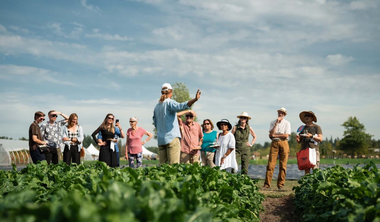 Feast of Fields