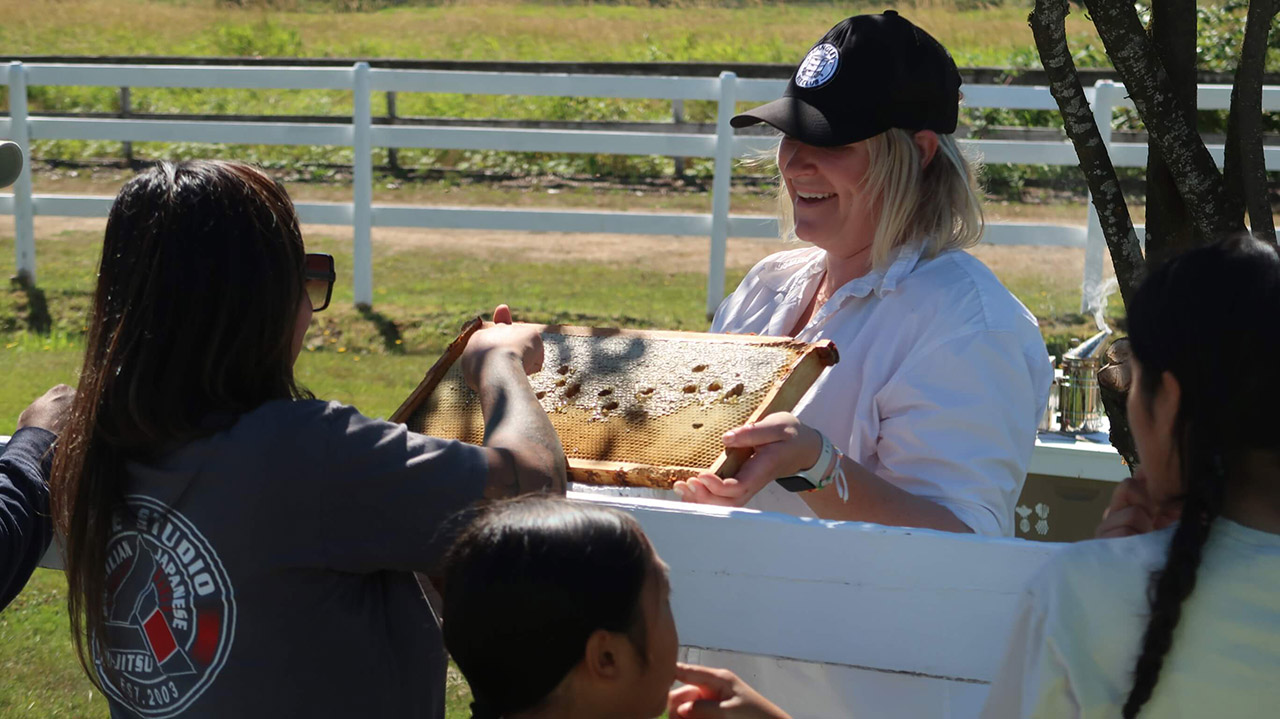 Bee Workshop