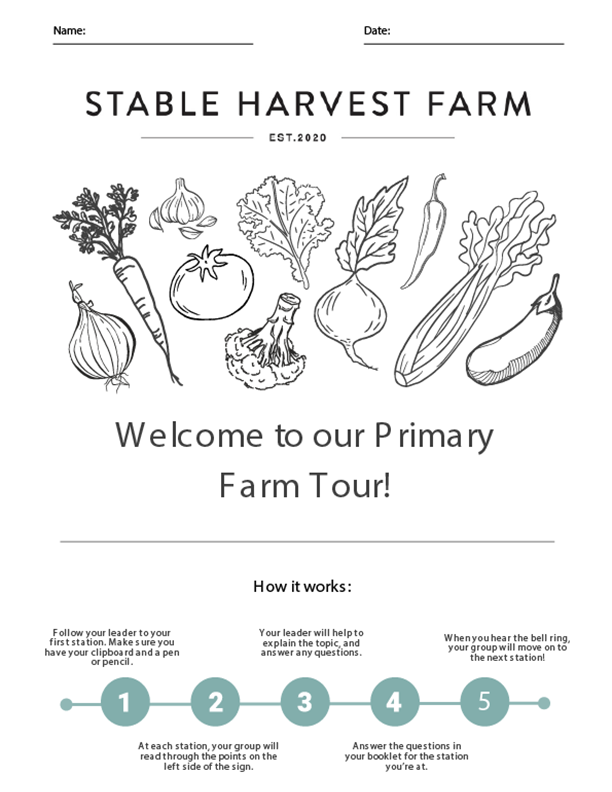 primary booklet for k-4