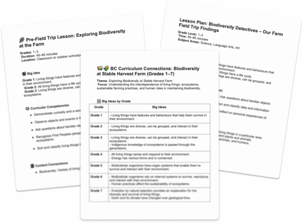 worksheet samples