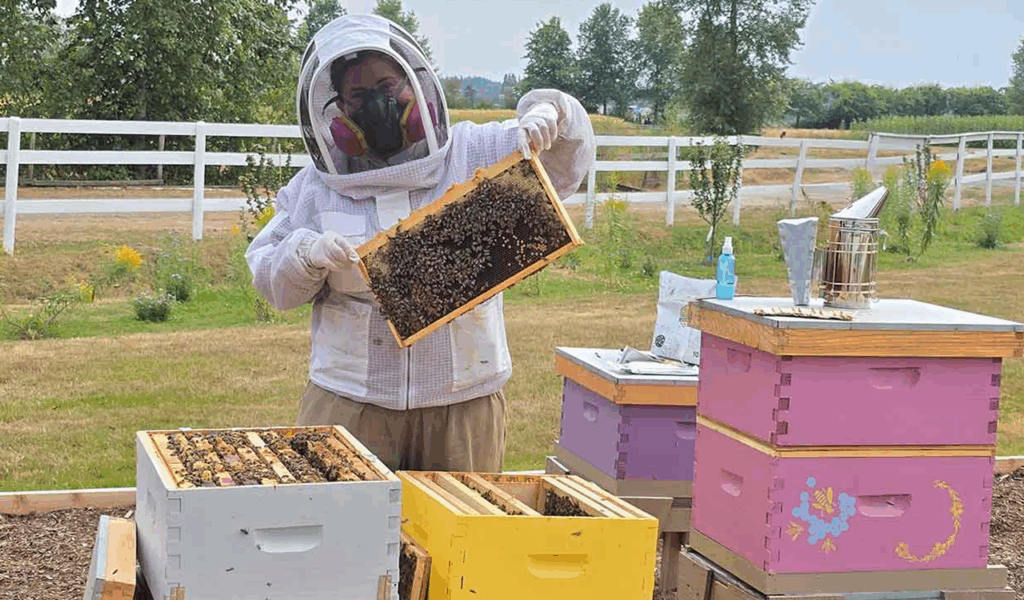 bee keeper holding beehives
