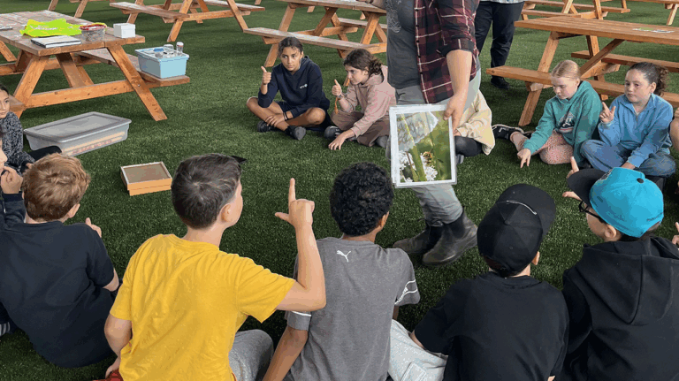 kid learning about bees