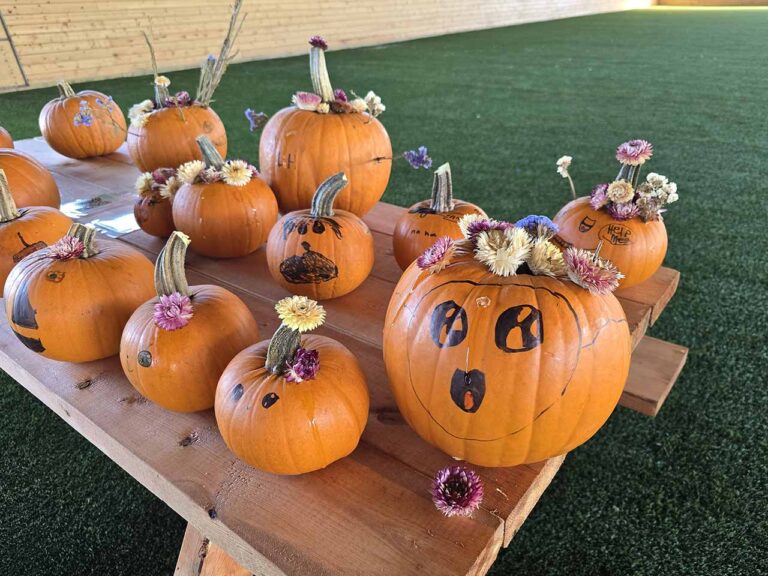 pumpkin art and craft