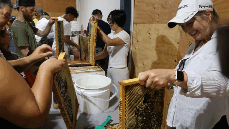 bee workshop