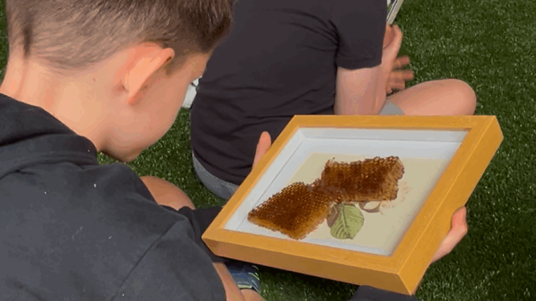 kid learning about bees