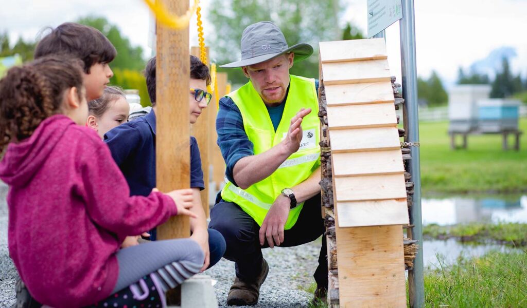 bug hotel